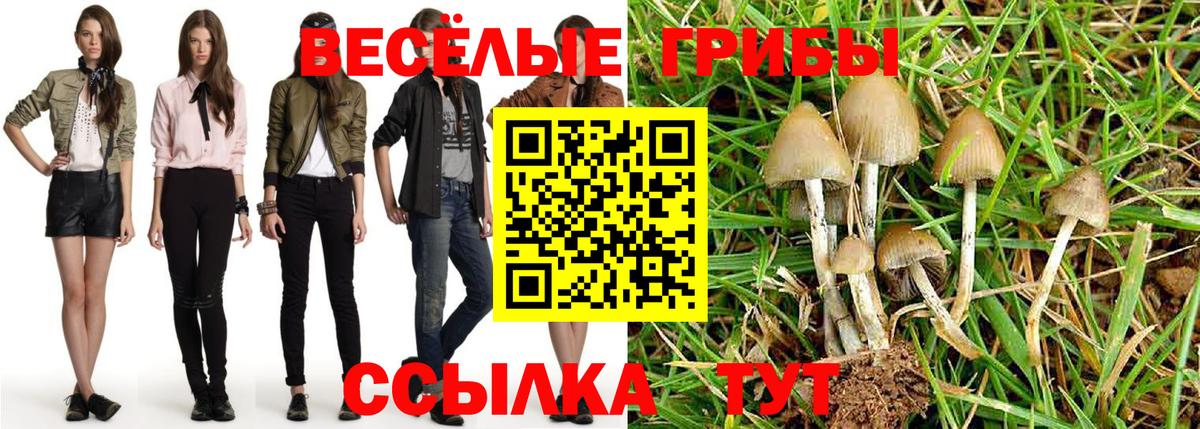 Галлюциногенные грибы Psilocybine cubensis  Ефремов  Псилоцибиновые грибы ЛСД 