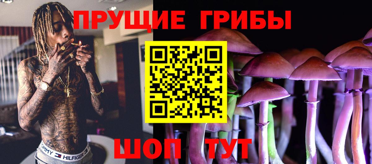 Ефремов  Галлюциногенные грибы Magic Shrooms  Псилоцибиновые грибы прущие грибы  Вход с VPN 